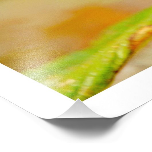 Fotouitbreiding Foto Afdruk (Hoek)