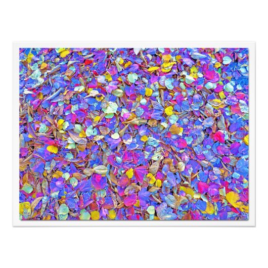 Fotouitbreiding Foto Afdruk (Voorkant)