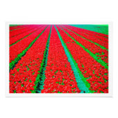 Fotouitbreiding Foto Afdruk (Voorkant)