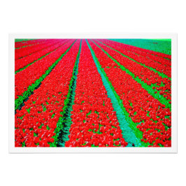 Fotouitbreiding Foto Afdruk