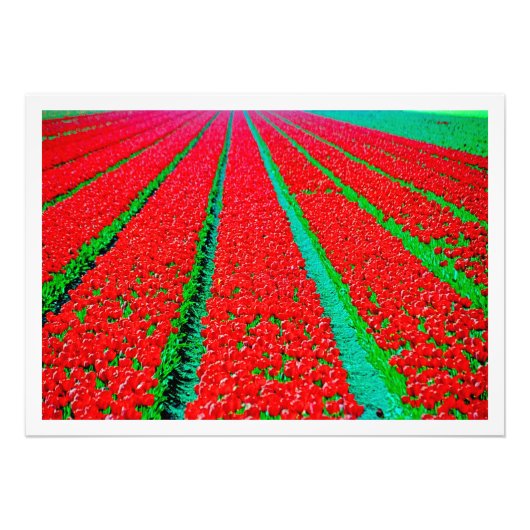 Fotouitbreiding Foto Afdruk (Voorkant)