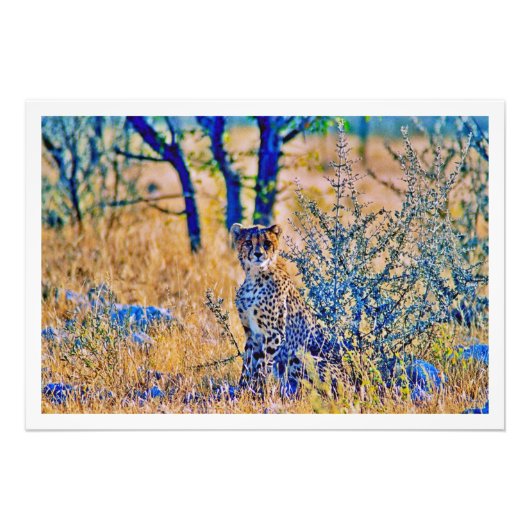 Fotouitbreiding Foto Afdruk (Voorkant)