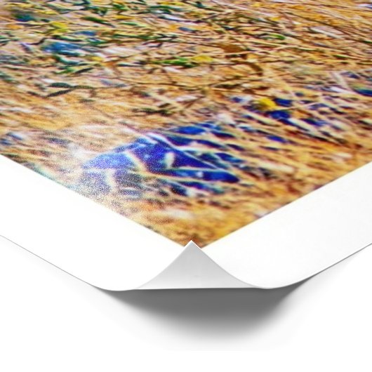 Fotouitbreiding Foto Afdruk (Hoek)