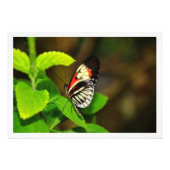 Fotouitbreiding Foto Afdruk (Voorkant)