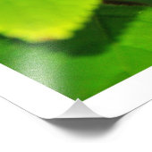 Fotouitbreiding Foto Afdruk (Hoek)