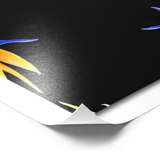 Fotouitbreiding Foto Afdruk (Hoek)