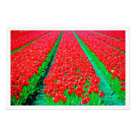 Fotouitbreiding Foto Afdruk