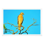 Fotouitbreiding Foto Afdruk (Voorkant)