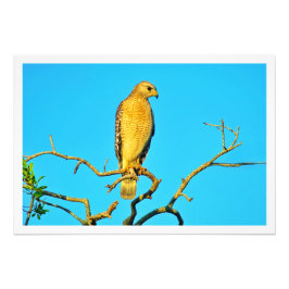 Fotouitbreiding Foto Afdruk