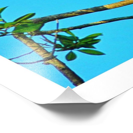 Fotouitbreiding Foto Afdruk (Hoek)