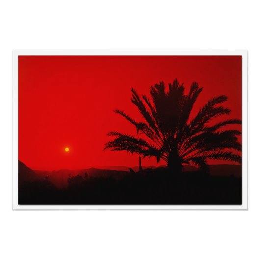 Fotouitbreiding Foto Afdruk (Voorkant)