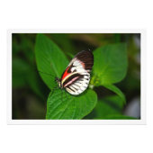 Fotouitbreiding Foto Afdruk (Voorkant)