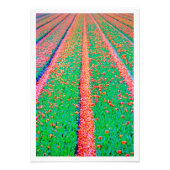 Fotouitbreiding Foto Afdruk (Voorkant)