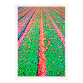 Fotouitbreiding Foto Afdruk