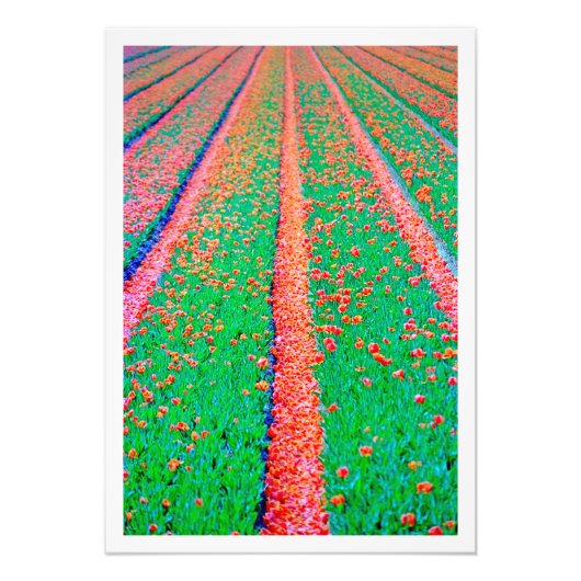 Fotouitbreiding Foto Afdruk (Voorkant)