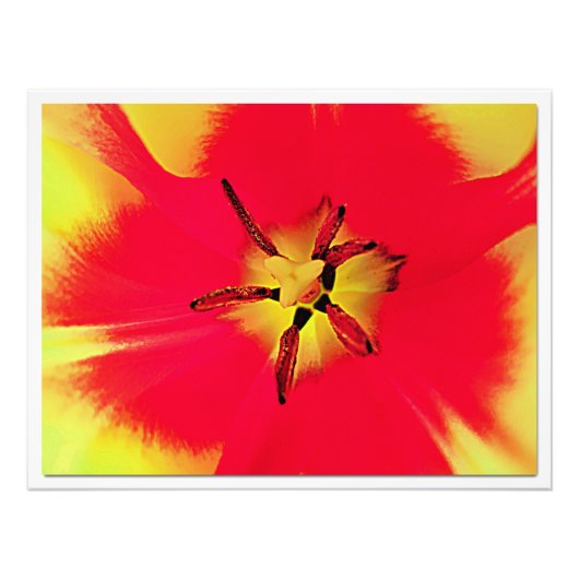 Fotouitbreiding Foto Afdruk (Voorkant)