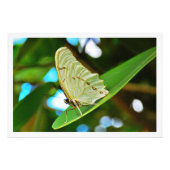 Fotouitbreiding Foto Afdruk (Voorkant)