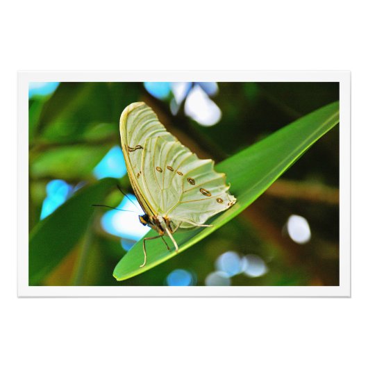 Fotouitbreiding Foto Afdruk (Voorkant)