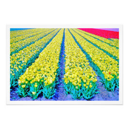 Fotouitbreiding Foto Afdruk