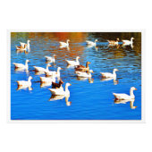 Fotouitbreiding Foto Afdruk (Voorkant)