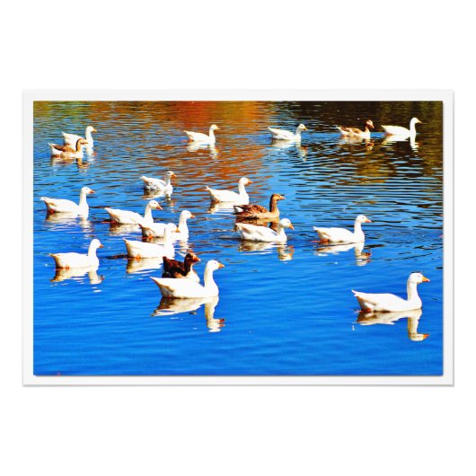 Fotouitbreiding Foto Afdruk (Voorkant)