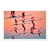 Fotouitbreiding Foto Afdruk (Voorkant)