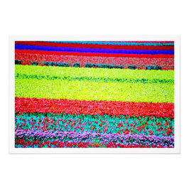 Fotouitbreiding Foto Afdruk