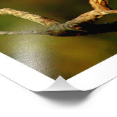 Fotouitbreiding Foto Afdruk (Hoek)