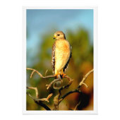 Fotouitbreiding Foto Afdruk (Voorkant)