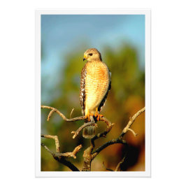 Fotouitbreiding Foto Afdruk