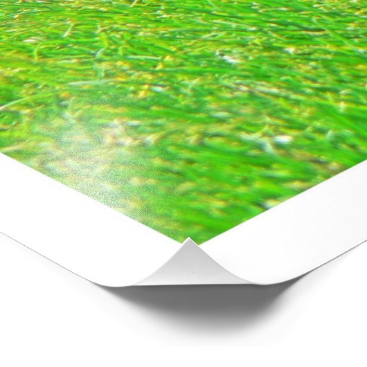 Fotouitbreiding Foto Afdruk (Hoek)