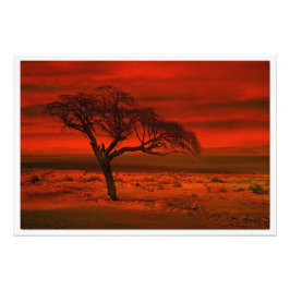 Fotouitbreiding Foto Afdruk