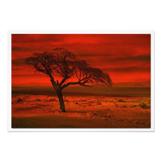 Fotouitbreiding Foto Afdruk (Voorkant)