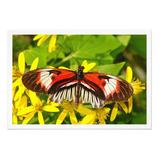 Fotouitbreiding Foto Afdruk (Voorkant)