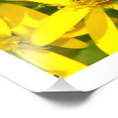 Fotouitbreiding Foto Afdruk (Hoek)