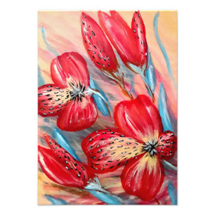 Fotouitbreiding Foto Afdruk