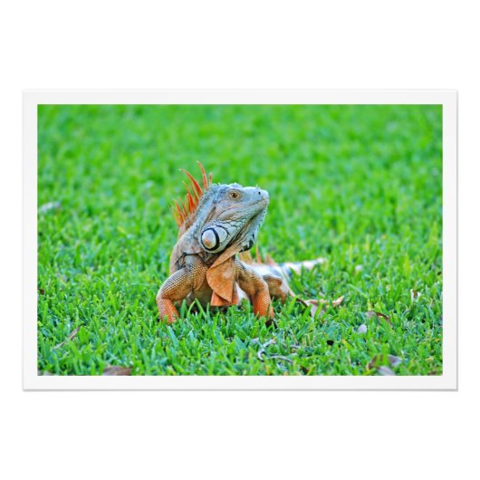 Fotouitbreiding Foto Afdruk (Voorkant)