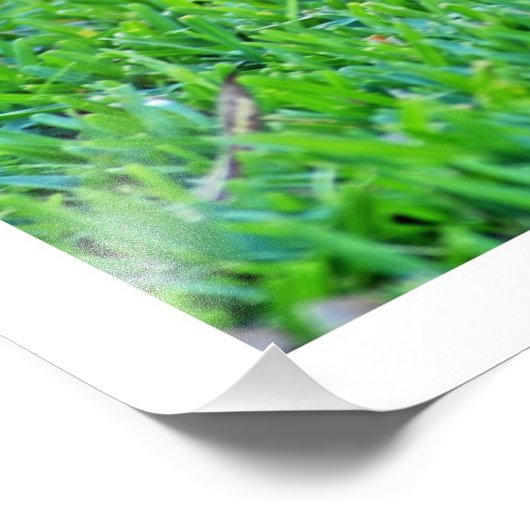 Fotouitbreiding Foto Afdruk (Hoek)