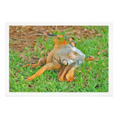 Fotouitbreiding Foto Afdruk (Voorkant)