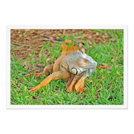 Fotouitbreiding Foto Afdruk (Voorkant)