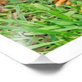 Fotouitbreiding Foto Afdruk (Hoek)