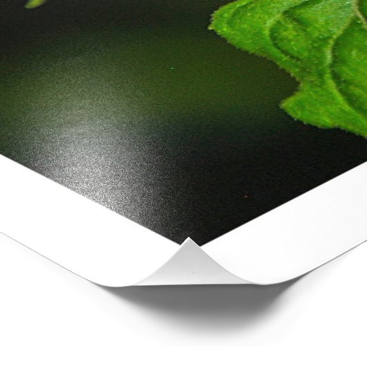 Fotouitbreiding Foto Afdruk (Hoek)