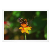 Fotouitbreiding Foto Afdruk (Voorkant)