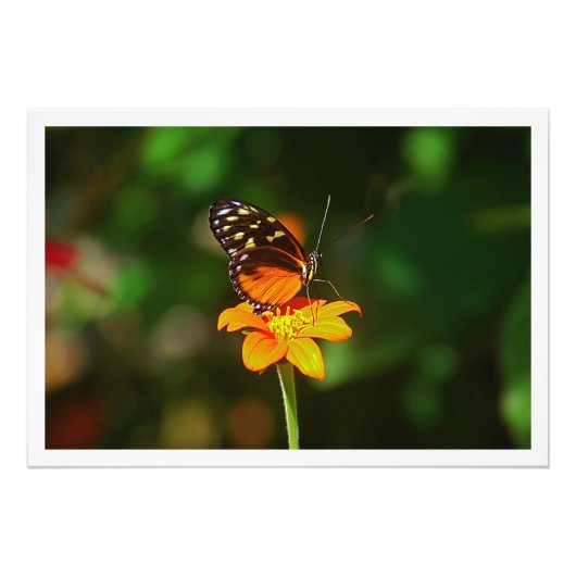 Fotouitbreiding Foto Afdruk (Voorkant)