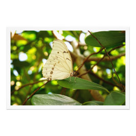 Fotouitbreiding Foto Afdruk