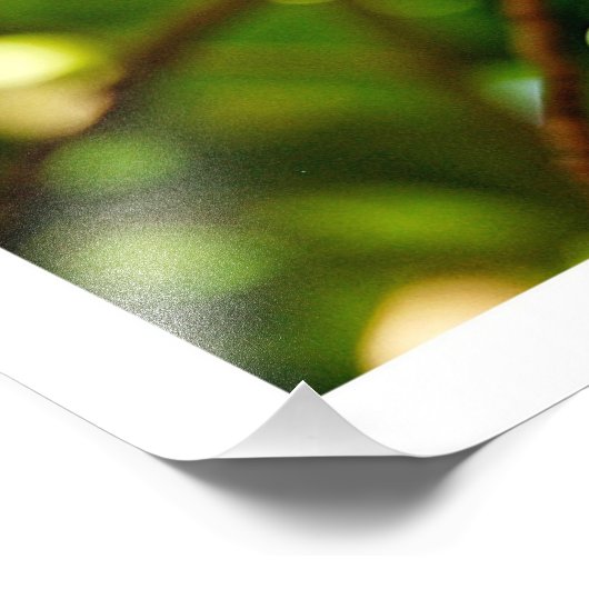 Fotouitbreiding Foto Afdruk (Hoek)