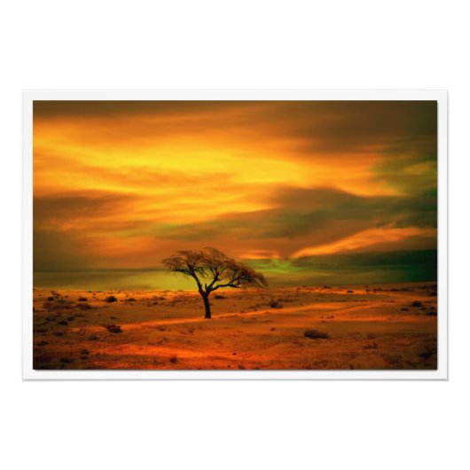 Fotouitbreiding Foto Afdruk (Voorkant)