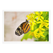 Fotouitbreiding Foto Afdruk (Voorkant)