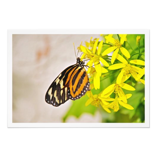 Fotouitbreiding Foto Afdruk (Voorkant)