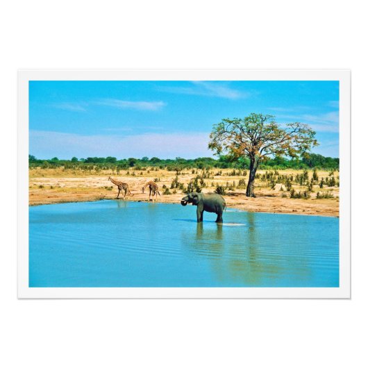 Fotouitbreiding Foto Afdruk (Voorkant)